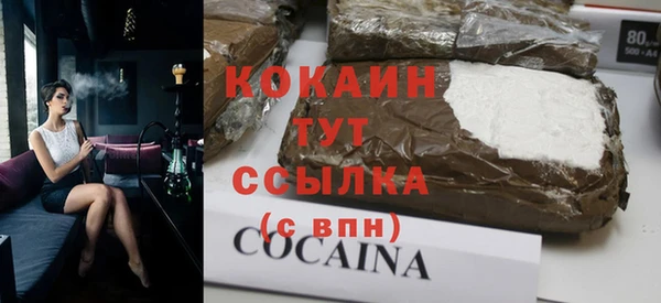 прущие грибы Богородск