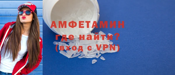 ECSTASY Богданович