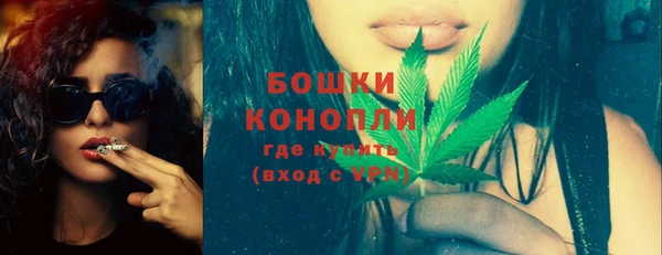 ECSTASY Богданович