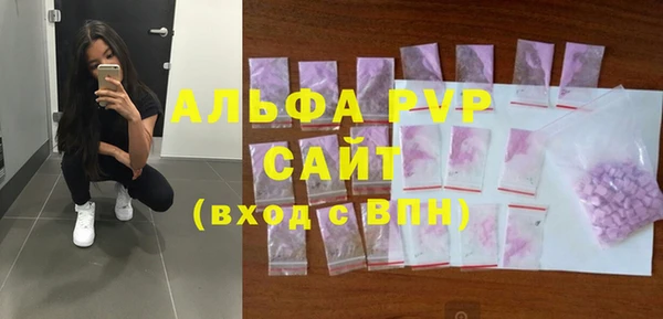 ECSTASY Богданович