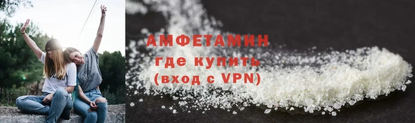 ECSTASY Богданович