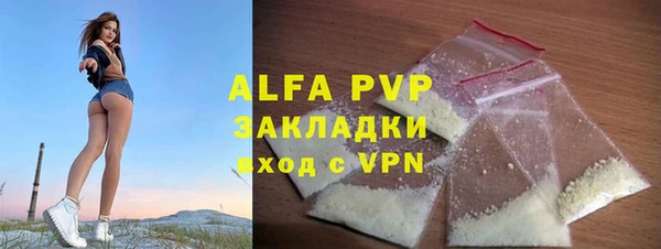 ECSTASY Богданович