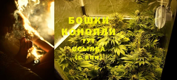 прущие грибы Богородск