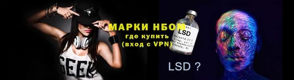 ECSTASY Богданович
