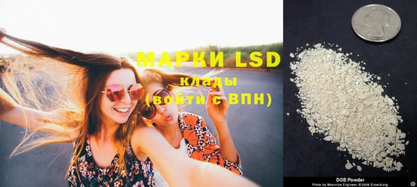 ECSTASY Богданович