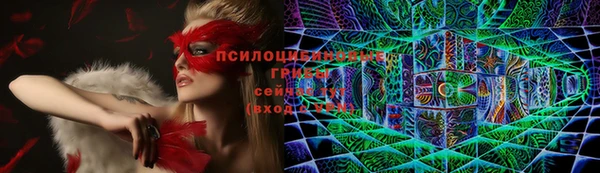 прущие грибы Богородск