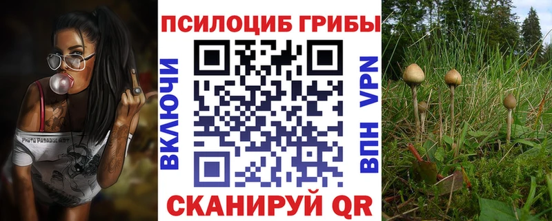 что такое наркотик  Кемерово  Псилоцибиновые грибы мухоморы 
