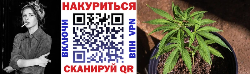 Каннабис конопля Кемерово